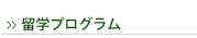 �V�j�A���w