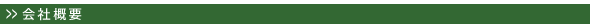ЊTv